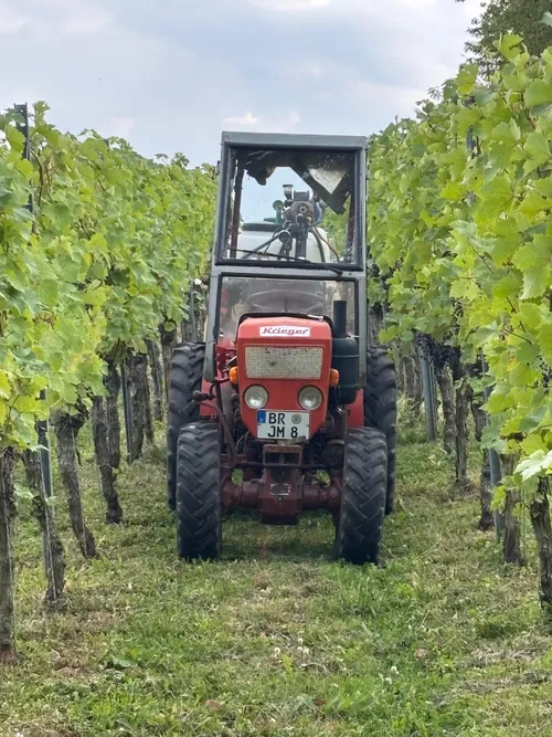 Kriegi – Weingut Stassen